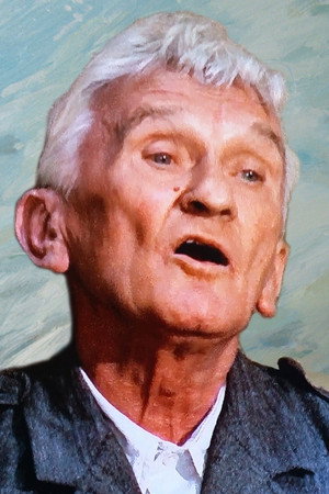 János Rajz in The Tóth Family