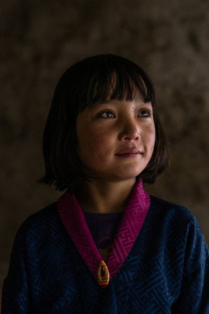 Pem Zam in Lunana: A Yak in the Classroom