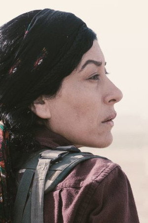 Dijle Arjîn in Kobane