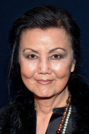 Kieu Chinh in Warrior, Who Are You