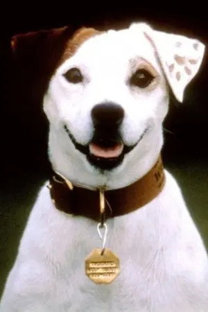 Soccer the Dog in What's the Story, Wishbone?