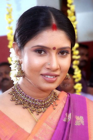 Sanghavi in Goppinti Alludu