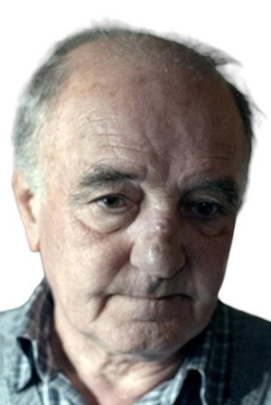 Bora Nenić in The Agreement