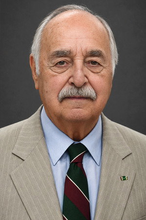 Félix Colozzi in They Joined the Front