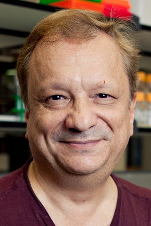 Michael Rampino in Last Days on Earth