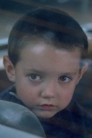 Zachary David Cope in Stir of Echoes