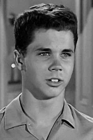 Tony Dow in David Mirisch, the Man Behind the Golden Stars