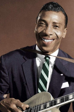 T-Bone Walker in The American Folk Blues Festival 1962-1966, Vol. 1