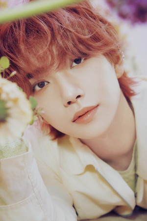 Joshua Hong in SEVENTEEN in CARAT LAND