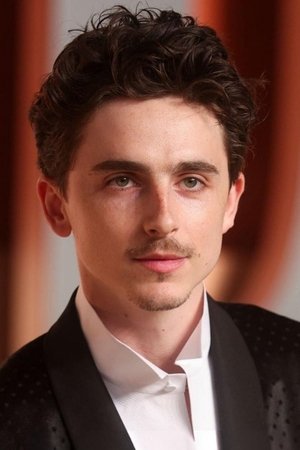 Timothée Chalamet in Little Women