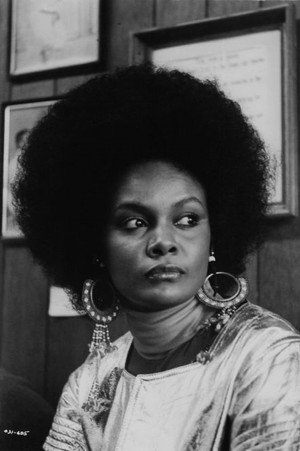 Tamara Dobson in Cleopatra Jones and the Casino of Gold