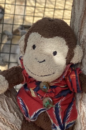 Joe Monkey in Freak - Alex the Vampire