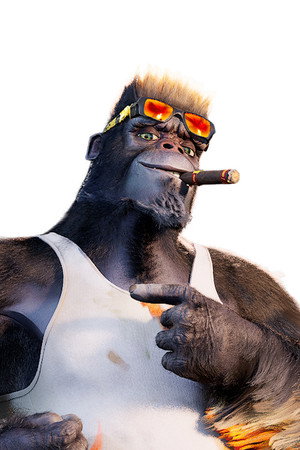 Moussa-K in Jungle Race