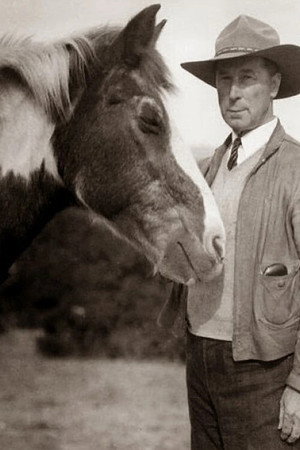 Fritz the Horse in Pinto Ben