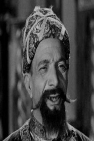 Mahmoud Lotfy in Wife Number 13