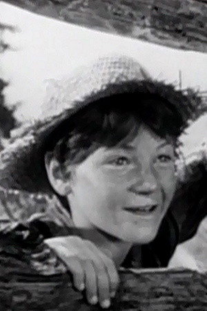 Billy Sheffield in King of the Wild Horses