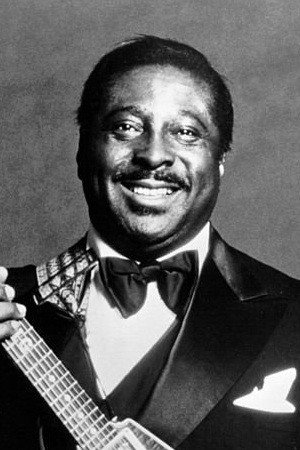 Albert King in Wattstax