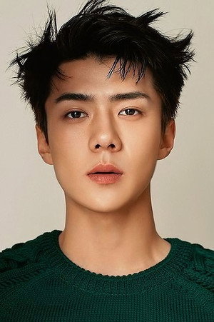 Sehun in EXO Planet #5 – EXpℓØration in Japan