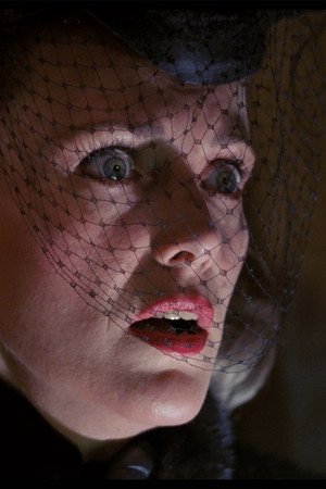 Sandy Brooke in Illusions