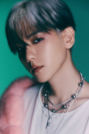 Baekhyun in EXO Planet #5 – EXpℓØration in Japan