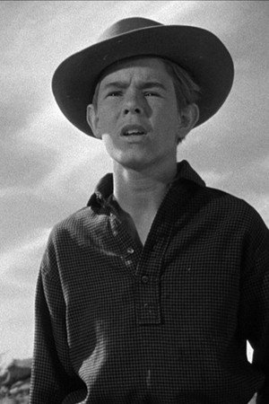 Jerry Hartleben in King of the Wild Stallions