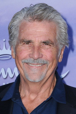 James Brolin in Westworld