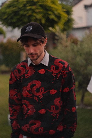Leo Neumann in The Amazing Kitsuverse