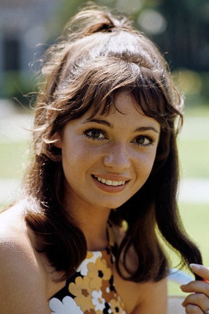 Karen Valentine in Murder at the World Series