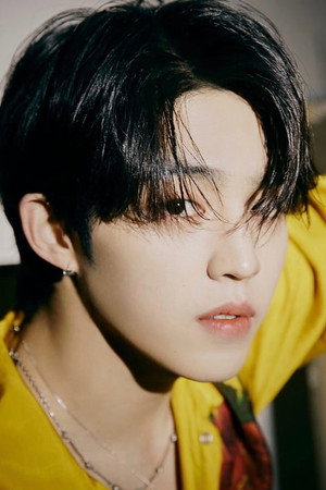 S.Coups in SEVENTEEN in CARAT LAND