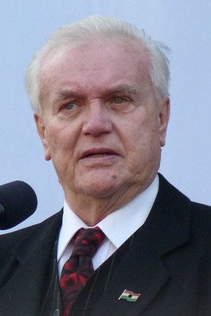 László Csurka in Mattie the Goose-Boy