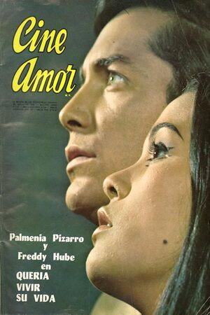 Freddy Hube in Valdivia 1960, El Gran Terremoto