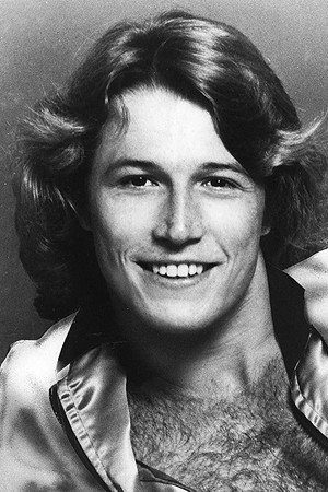 Andy Gibb in Keppel Road: The Life and Music of the Bee Gees