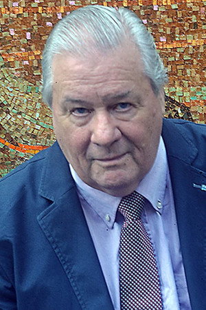 Bruce McGuire in The Good Witch of Christmas