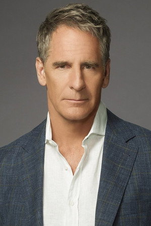 Scott Bakula in NetForce