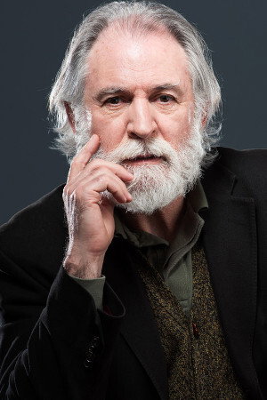 Jorge Mota in Time of Sheep