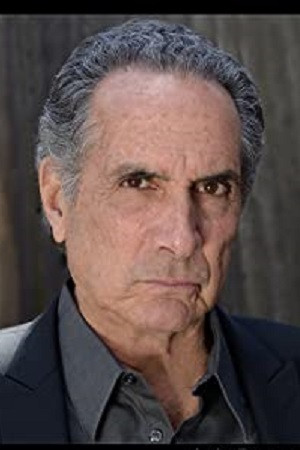Artie Pasquale in The Calicoon