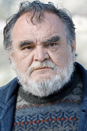Nenad Vukelić in A Perfect Day