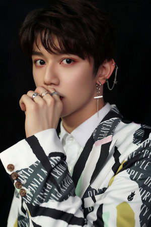 Lai Zongying in Twin Detective