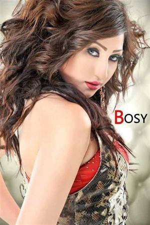 Bosy in Professional Guys