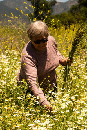 Gladys González in La casa, el lago y el trigo