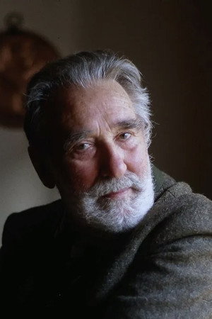 Mario Rigoni Stern in Primo Levi's Journey