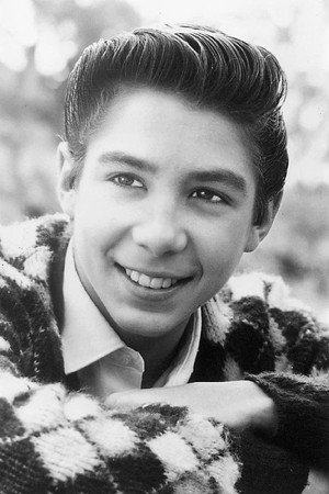 Johnny Crawford in The inbreaker