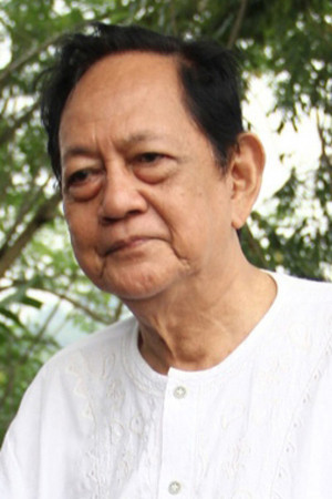 Deddy Sutomo in Kartini: Princess of Java