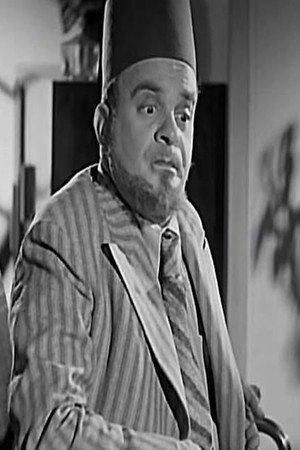 Fauzi ElGazaerli in The Two Representatives