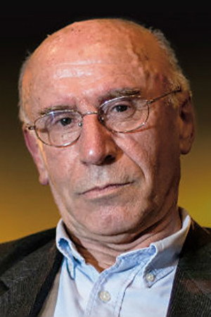 Boro Stjepanović in Hi, Inspector