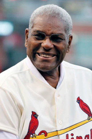 Bob Gibson in The Curious Case of Curt Flood