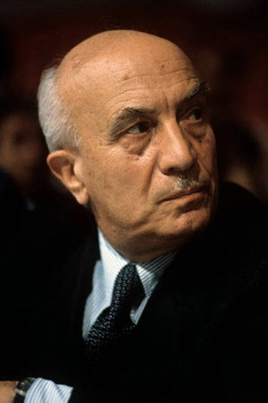 Amintore Fanfani in Forza Italia!