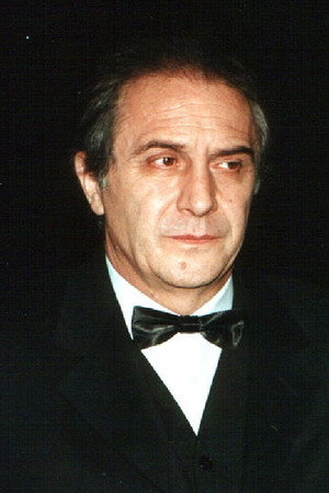 Goran Sultanović in The Maiden's Tune