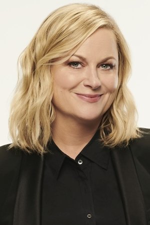 Amy Poehler in Baby Mama