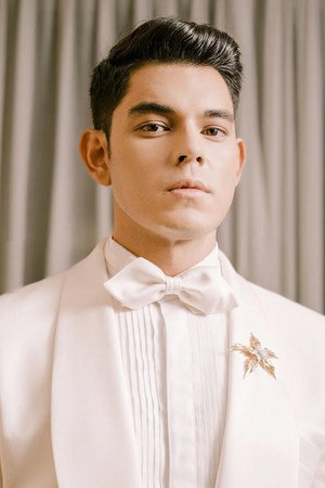 Richard Gutierrez in When I Met U